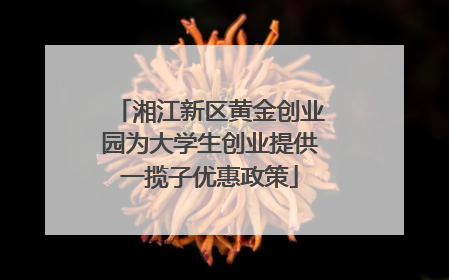 湘江新区黄金创业园为大学生创业提供一揽子优惠政策