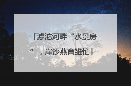 滹沱河畔“水景房”，崖沙燕育雏忙