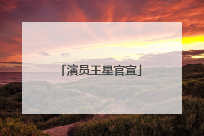 演员王星官宣