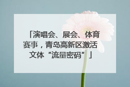 演唱会、展会、体育赛事，青岛高新区激活文体“流量密码”