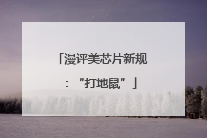 漫评美芯片新规：“打地鼠”
