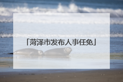菏泽市发布人事任免