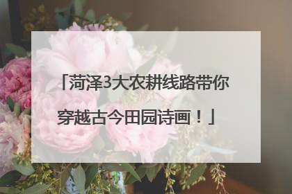 菏泽3大农耕线路带你穿越古今田园诗画！