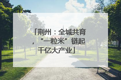 荆州：全城共育，“一粒米”链起千亿大产业