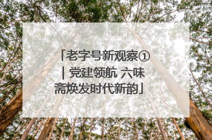 老字号新观察①｜党建领航 六味斋焕发时代新韵