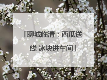 聊城临清：西瓜送一线 冰块进车间