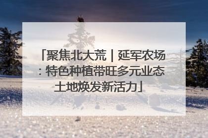 聚焦北大荒｜延军农场：特色种植带旺多元业态 土地焕发新活力