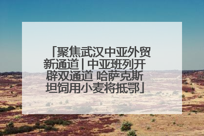 聚焦武汉中亚外贸新通道│中亚班列开辟双通道 哈萨克斯坦饲用小麦将抵鄂