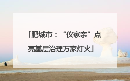 肥城市：“仪家亲”点亮基层治理万家灯火
