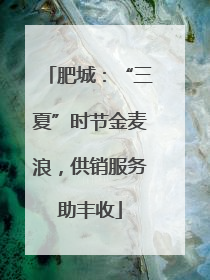 肥城：“三夏”时节金麦浪，供销服务助丰收