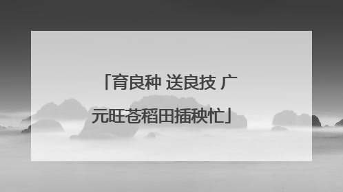 育良种 送良技 广元旺苍稻田插秧忙