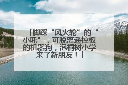 脚踩“风火轮”的“小吒”，可脱离遥控板的机器狗，泡桐树小学来了新朋友！