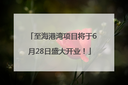 至海港湾项目将于6月28日盛大开业！