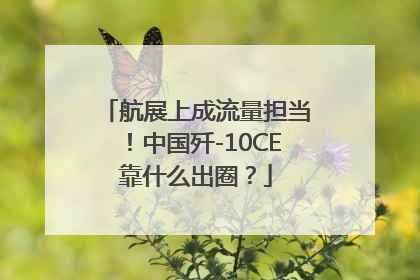 航展上成流量担当！中国歼-10CE靠什么出圈？