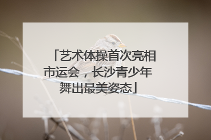 艺术体操首次亮相市运会，长沙青少年舞出最美姿态