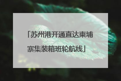 苏州港开通直达柬埔寨集装箱班轮航线