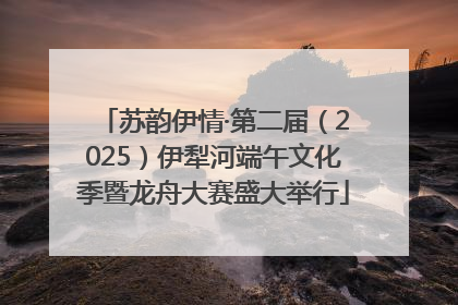 苏韵伊情·第二届（2025）伊犁河端午文化季暨龙舟大赛盛大举行