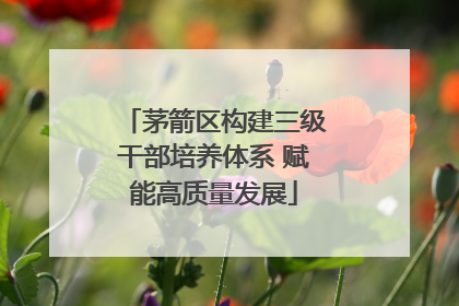 茅箭区构建三级干部培养体系 赋能高质量发展