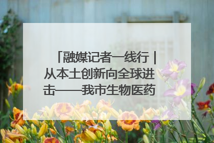 融媒记者一线行｜从本土创新向全球进击——我市生物医药产业破茧突围