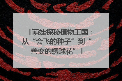 萌娃探秘植物王国：从“会飞的种子”到“善变的绣球花”