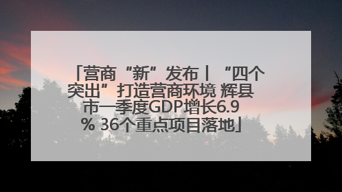 营商“新”发布丨“四个突出”打造营商环境 辉县市一季度GDP增长6.9% 36个重点项目落地
