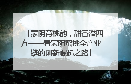 蒙阴育桃韵，甜香溢四方——看蒙阴蜜桃全产业链的创新崛起之路