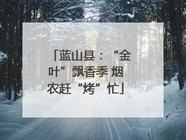 蓝山县：“金叶”飘香季 烟农赶“烤”忙