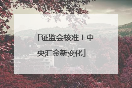 证监会核准！中央汇金新变化