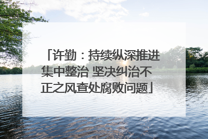 许勤：持续纵深推进集中整治 坚决纠治不正之风查处腐败问题