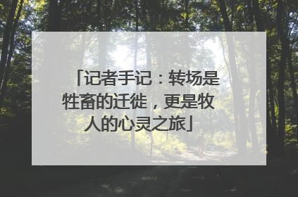 记者手记：转场是牲畜的迁徙，更是牧人的心灵之旅