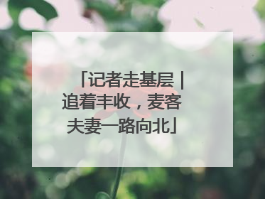 记者走基层｜追着丰收，麦客夫妻一路向北