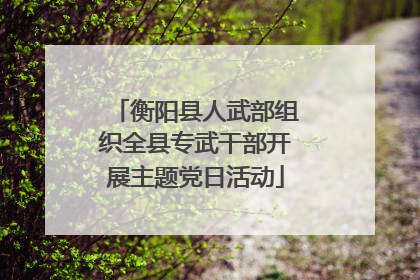衡阳县人武部组织全县专武干部开展主题党日活动