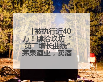 被执行近40万！肆拾玖坊“第二增长曲线”茅泉酒业，卖酒还是卖模式？