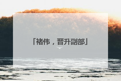 褚伟，晋升副部