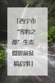 西宁市“雪豹之都”生态摄影展征稿启事
