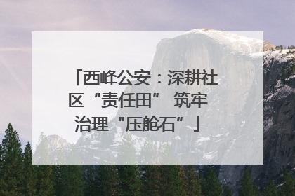 西峰公安：深耕社区“责任田” 筑牢治理“压舱石”