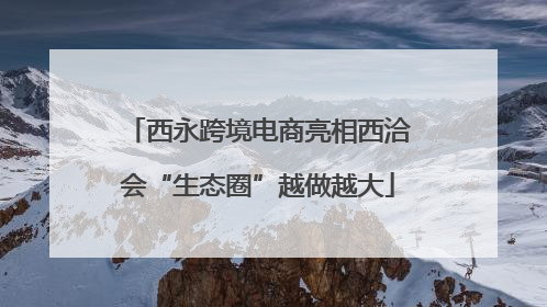 西永跨境电商亮相西洽会“生态圈”越做越大