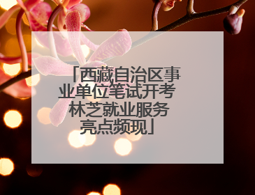 西藏自治区事业单位笔试开考 林芝就业服务亮点频现