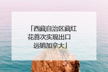 西藏自治区藏红花首次实现出口 远销加拿大