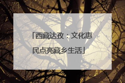 西藏达孜：文化惠民点亮藏乡生活
