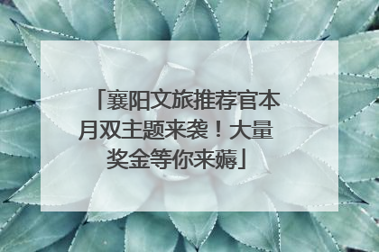 襄阳文旅推荐官本月双主题来袭！大量奖金等你来薅