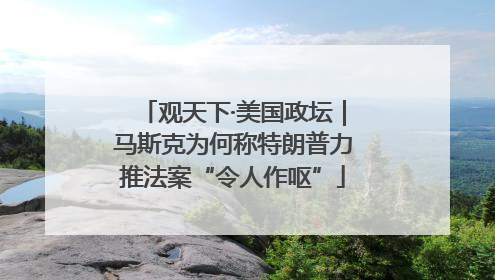 观天下·美国政坛｜马斯克为何称特朗普力推法案“令人作呕”