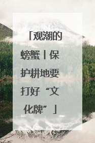 观潮的螃蟹丨保护耕地要打好“文化牌”