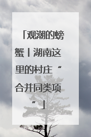 观潮的螃蟹丨湖南这里的村庄“合并同类项”