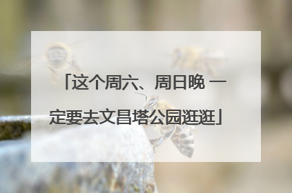 这个周六、周日晚 一定要去文昌塔公园逛逛