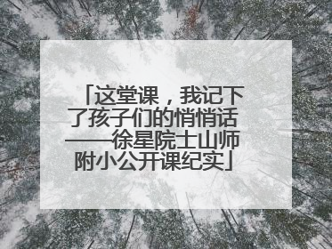 这堂课，我记下了孩子们的悄悄话——徐星院士山师附小公开课纪实