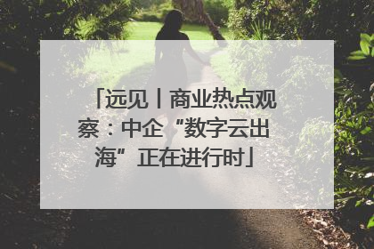 远见丨商业热点观察：中企“数字云出海”正在进行时