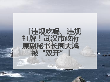 违规吃喝、违规打牌！武汉市政府原副秘书长周大鸿被“双开”