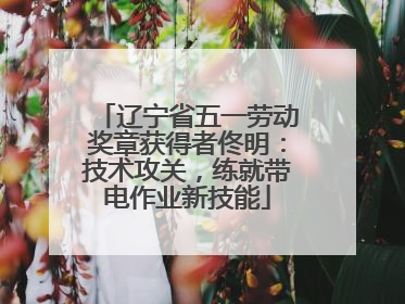 辽宁省五一劳动奖章获得者佟明：技术攻关，练就带电作业新技能