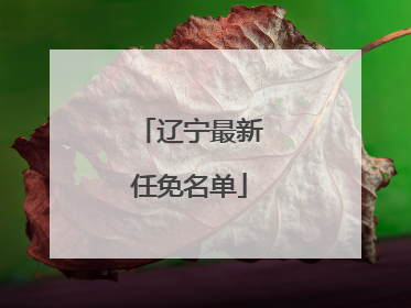 辽宁最新任免名单